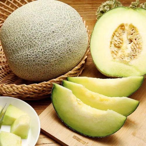 牛三网纹蜜瓜怎么吃,牛三网纹蜜瓜的多样食法探索