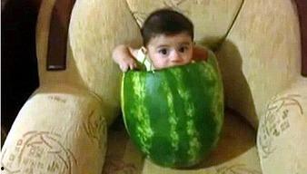 绍兴网红吃瓜事件视频最新,真相发酵，网络舆论场再掀波澜