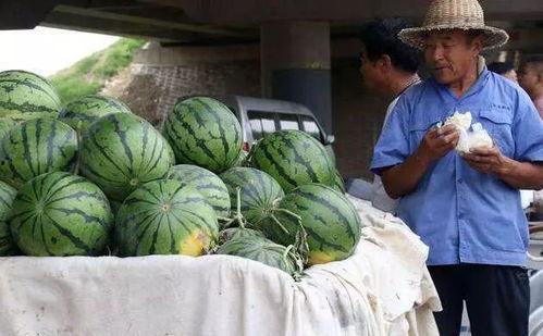 绍兴网红吃瓜事件视频最新,真相发酵，网络舆论场再掀波澜