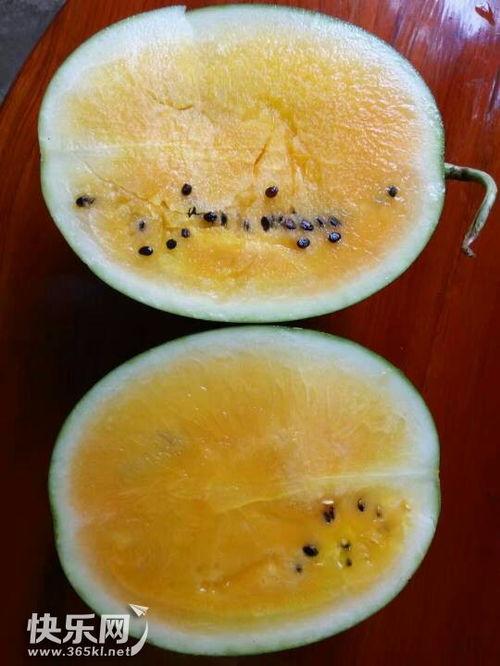 吃瓜资源网瓜瓜乐,揭秘吃瓜资源网热门话题背后的故事