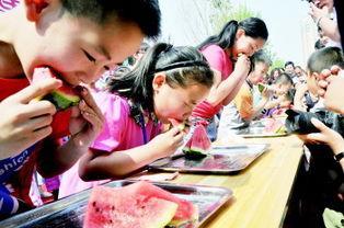 吃瓜主题大赛官网,吃瓜主题大赛官网精彩盘点