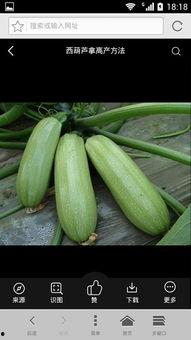 网红吃瓜颜色代表什么,一窥网络舆论背后的真相