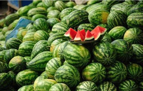 网红吃瓜颜色代表什么,一窥网络舆论背后的真相