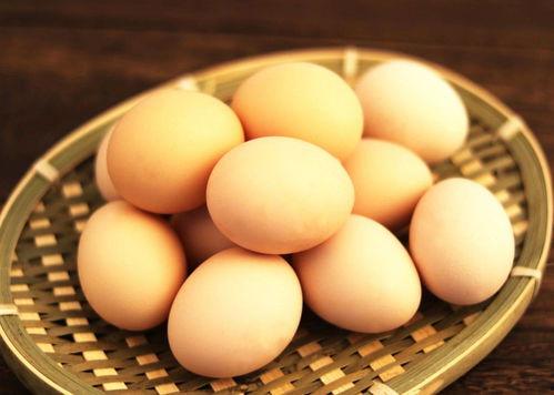 网红吃的水瓜叫啥,揭秘水瓜的独特魅力