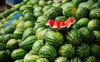 即墨网红吃瓜事件真相揭秘,揭秘背后真相与争议