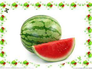 吃瓜网课怎么上,开启轻松学习之旅