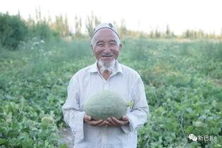 网红吃瓜僧,揭秘网络红人的佛系生活与吃瓜趣事