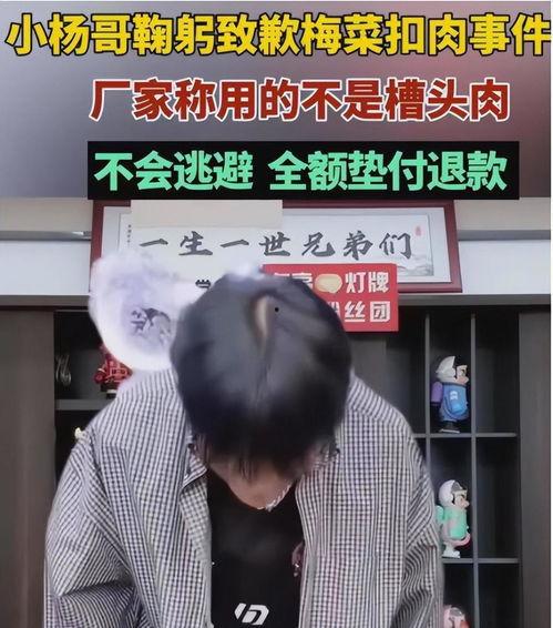 吃瓜网红小杨哥视频大全,揭秘娱乐圈幕后真相