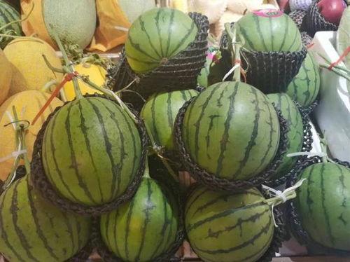 在哪个网可以吃瓜,瓜田何处，尽享八卦盛宴