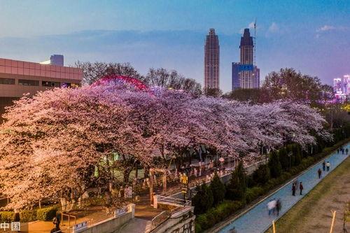 抖音网红吃瓜入口纽约,揭秘纽约吃瓜新潮流