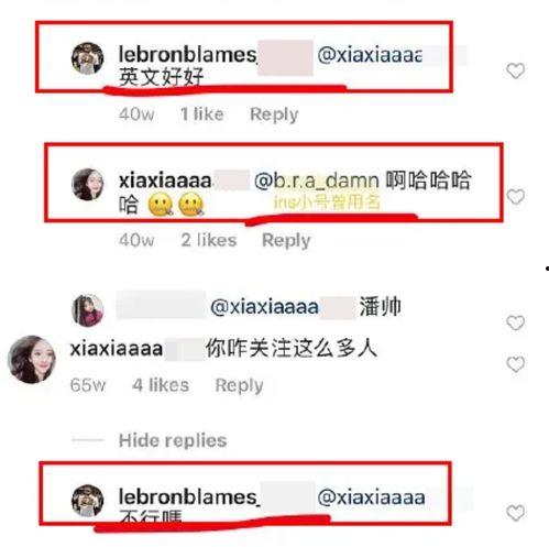 网红吃瓜事件网站,揭秘网络舆论背后的真相与争议