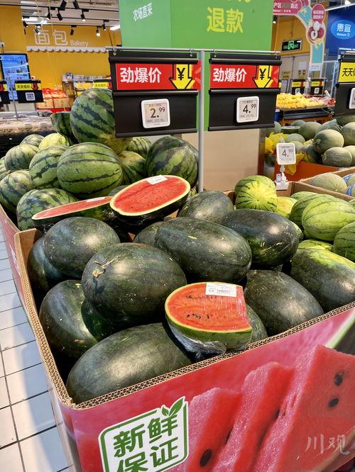 成都网红升学吃瓜,网红吃瓜群众热议升学那些事儿