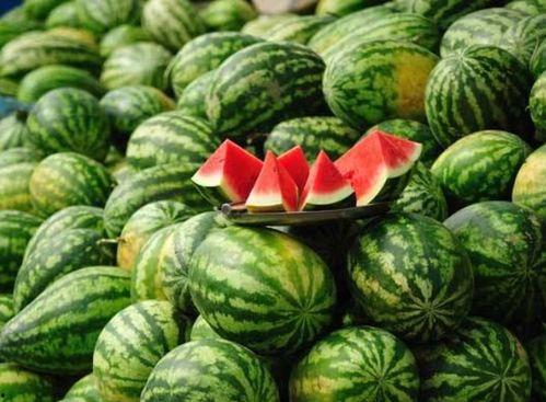 吃瓜网红赵一菲是谁,从网络红人到话题制造者的蜕变之路