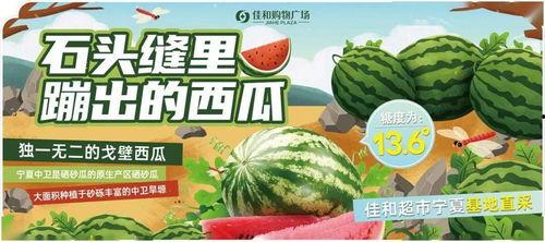 17吃瓜网今日大瓜热门大瓜,揭秘今日热门大瓜，娱乐圈风云再起