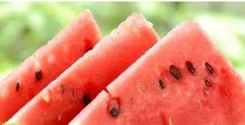 吃瓜网红黑科,揭秘幕后真相与娱乐江湖风云