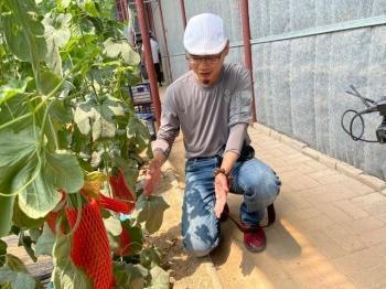 学校网红吃瓜打卡地