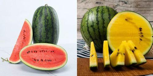 能在线吃瓜网,能在线吃瓜网带你领略网络娱乐新风尚