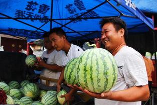 商丘网红吃瓜,揭秘幕后故事与热门话题
