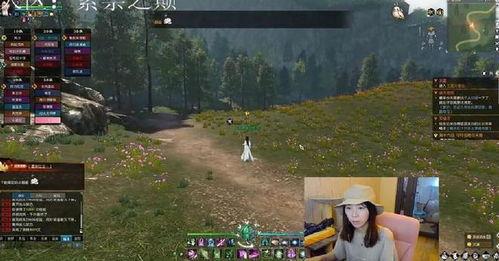 逆水寒ol吃瓜系统官网,揭秘吃瓜系统，畅享江湖八卦盛宴