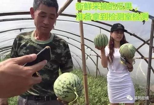 北京朝阳吃瓜群众网直播,吃瓜群众带你探秘京城美食江湖