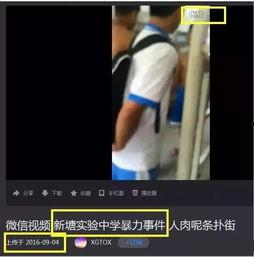 吃瓜网暴事件视频在线观看,揭秘网络暴力背后的真相