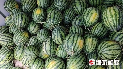 潍坊吃瓜网红事件,揭秘网络舆论的风暴与真相