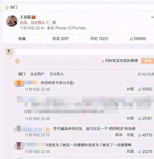 吃网红瓜的网址叫什么,揭秘网络热点背后的真相