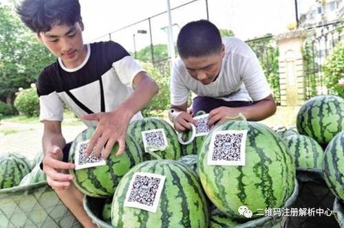 光山网红邱县长吃瓜视频,揭秘光山网红现象