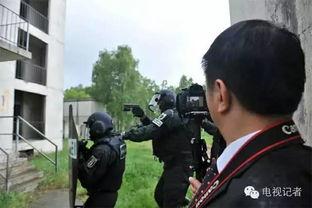 吃瓜警察网记者,揭秘网络舆论背后的真相