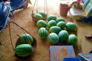 吃瓜网进不去怎么办,轻松畅享热门资讯！