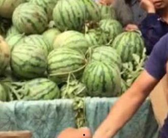 德阳网红吃瓜事件真相,揭秘背后真相与网络舆论的反思