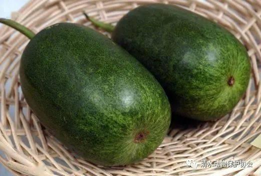 暗黑吃瓜网官网cgw.73,揭秘网络暗流涌动的秘密世界