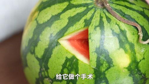 吃瓜网是西瓜视频吗,吃瓜网与西瓜视频，究竟有何关联？