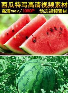 吃瓜网是西瓜视频吗,吃瓜网与西瓜视频，究竟有何关联？