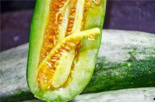 还有哪些吃瓜的网红,盘点当下热门的吃瓜网红