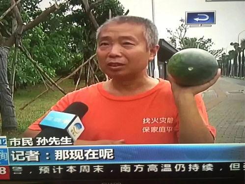 吃瓜网爆热门事件,热门事件背后的惊人真相