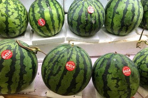 吃瓜网7,热门话题背后的真相与内幕