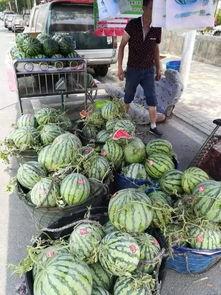 缅甸网红吃瓜事件,揭秘网络舆论背后的真相与争议