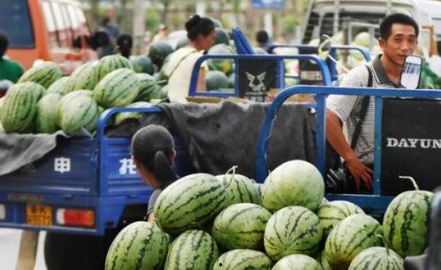 浙江男网红吃瓜事件,真相揭秘引网友热议