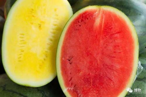 高质量网红吃瓜,揭秘网红吃瓜背后的真相与魅力