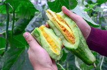 高质量网红吃瓜,揭秘网红吃瓜背后的真相与魅力