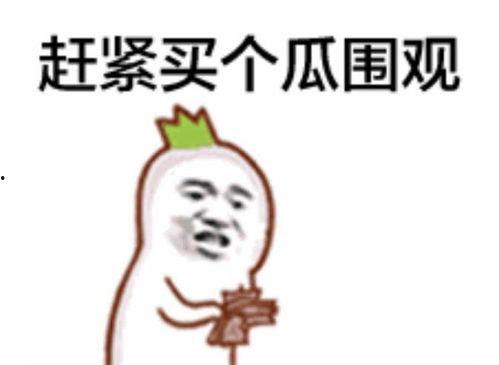 网红学霸吃瓜表情包下载,趣味横生的学习新风尚