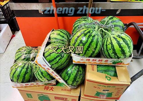 网曝吃瓜郑州,揭秘网络热议背后的真相