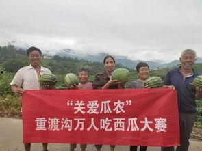 潮阳吃瓜群众网最新消息,最新热点事件追踪，揭秘幕后真相！