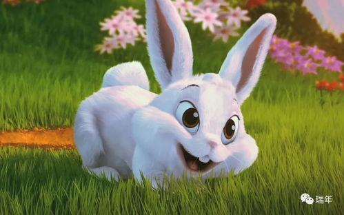 台湾网红小兔子吃瓜,揭秘网红美食背后的故事