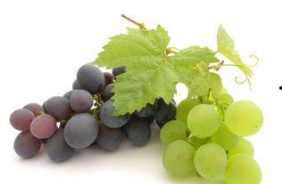 网红吃瓜葡萄视频下载,揭秘瓜界新宠儿的魅力瞬间