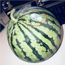 400w网红吃瓜,400万网红揭秘娱乐圈吃瓜大事件