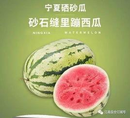 网红界的吃瓜,揭秘娱乐圈幕后真相