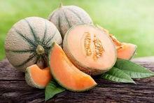 刺玫瑰吃瓜网,揭秘娱乐圈幕后真相，带你领略明星生活百态