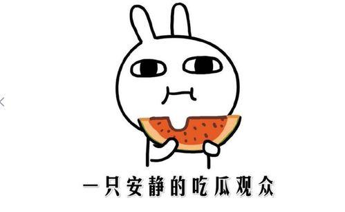 有没有网红吃瓜的网站啊